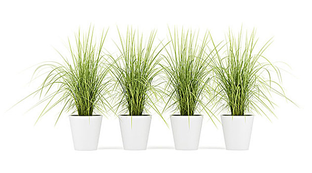 真正的电子书速成神器